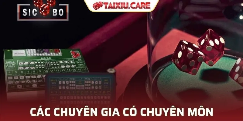 Tài Xỉu sở hữu các chuyên gia có chuyên môn