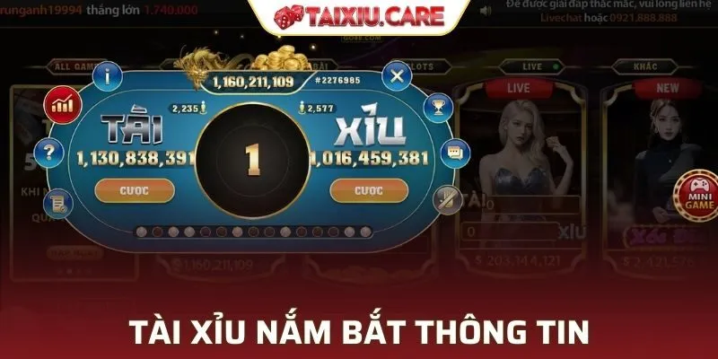 Tài Xỉu nắm bắt thông tin trong lĩnh vực cá cược